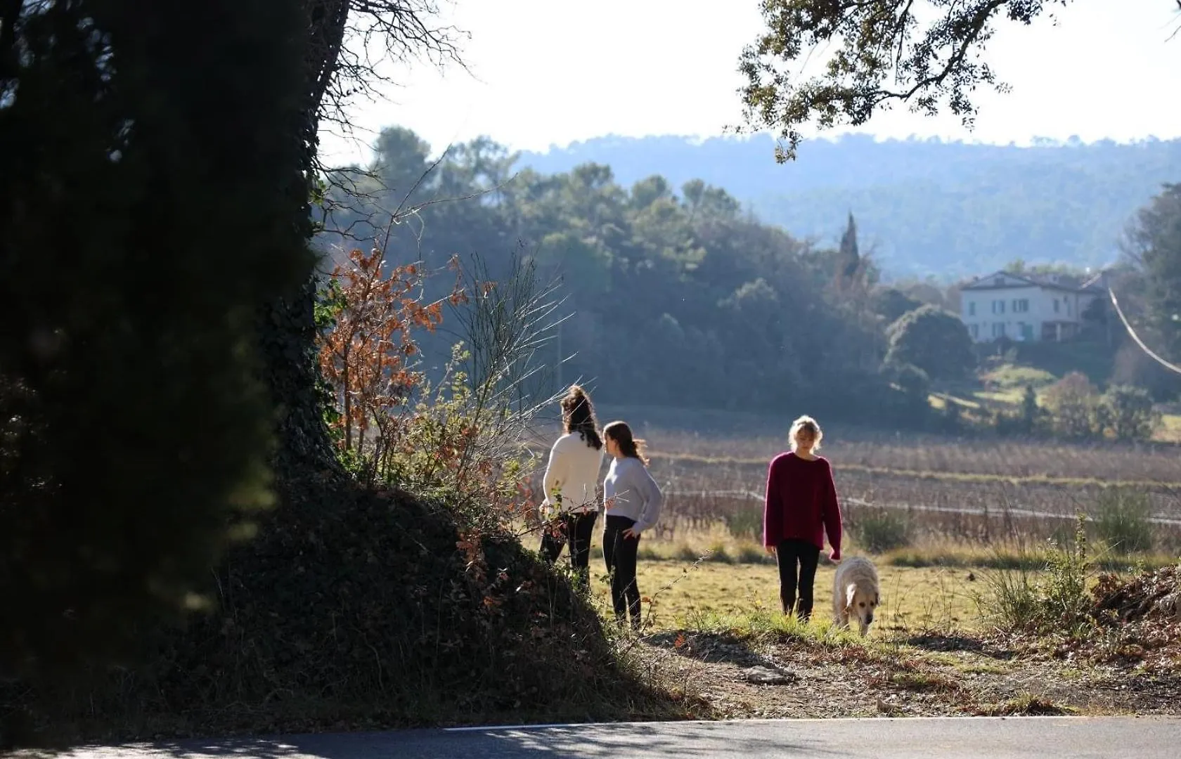 Domaine Les Vaches Villa Cotignac