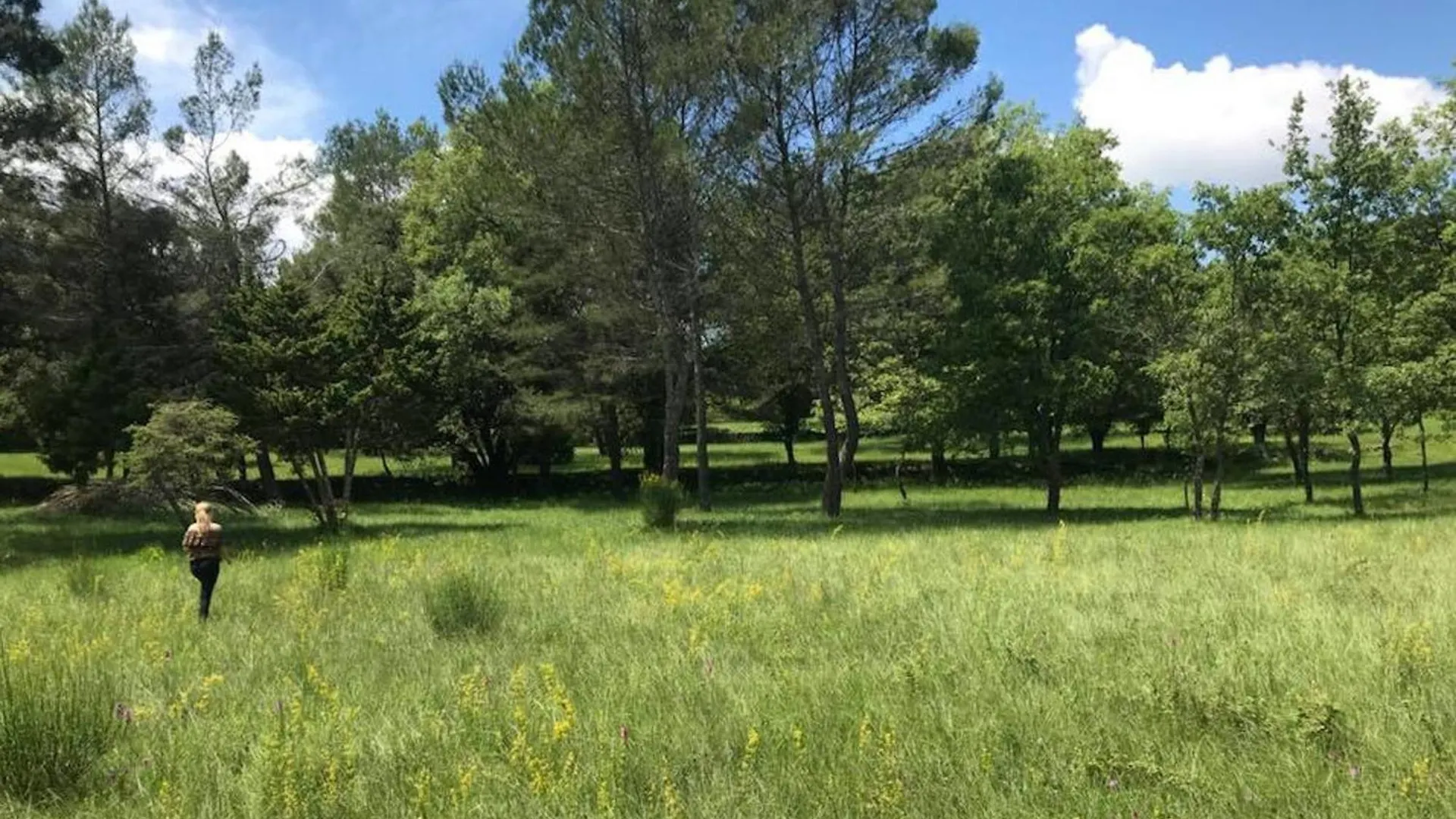 Domaine Les Vaches Villa Cotignac